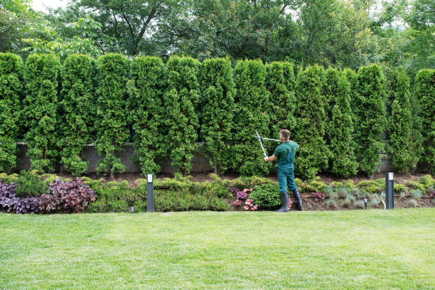 Lawn Maintenance Plans in Galena, IN